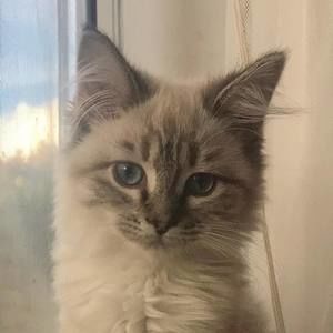 Meet your Posher, Laura